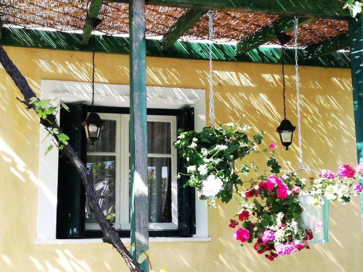 Garden House In Corfu Villa Corfu  Exterior photo