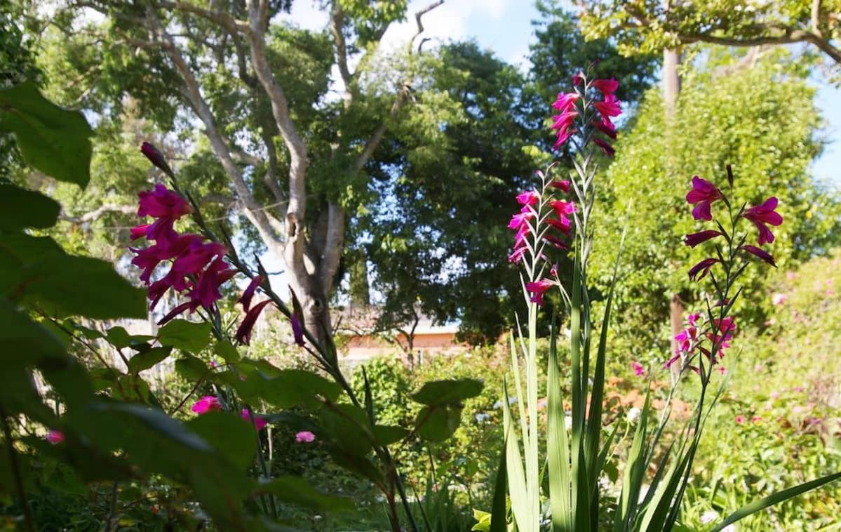 Garden House In Corfu Villa Corfu  Exterior photo