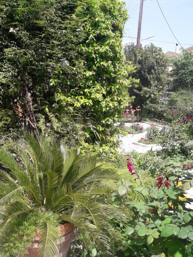 Garden House In Corfu Villa Corfu  Exterior photo